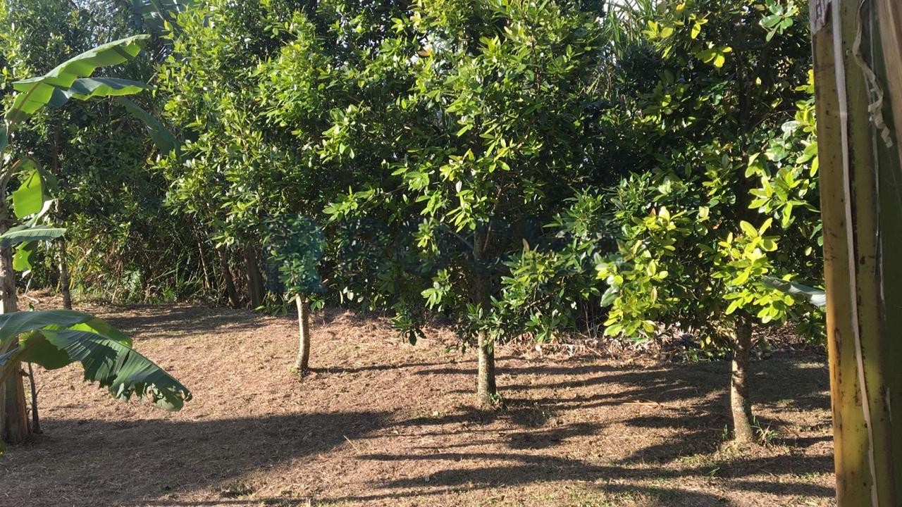 Casa para Venda no bairro Barra em Luiz Alves