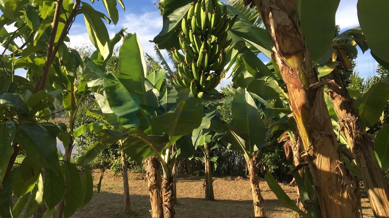 Casa para Venda no bairro Barra em Luiz Alves