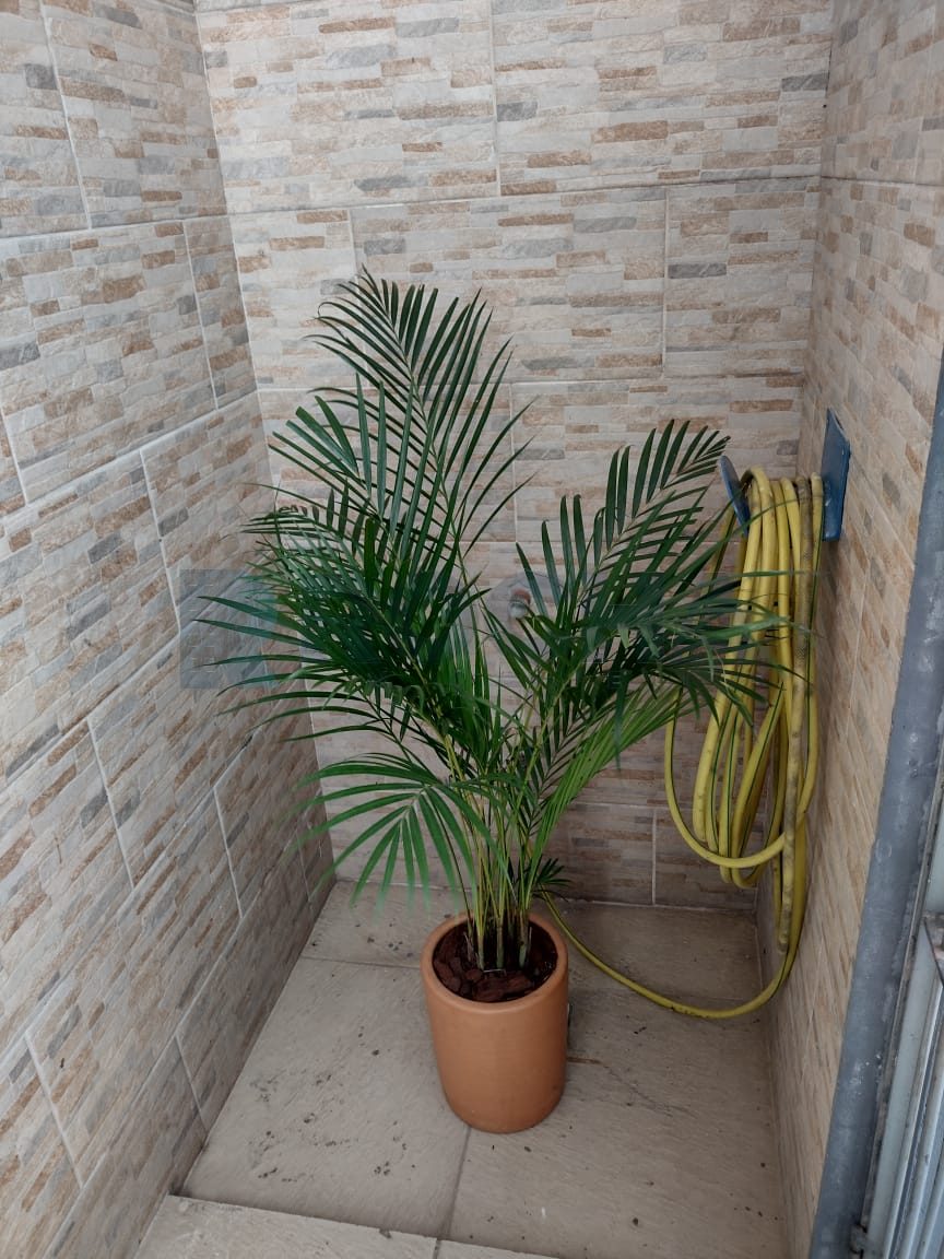 Galpão para Locação Anual no bairro Nações em Balneário Camboriú